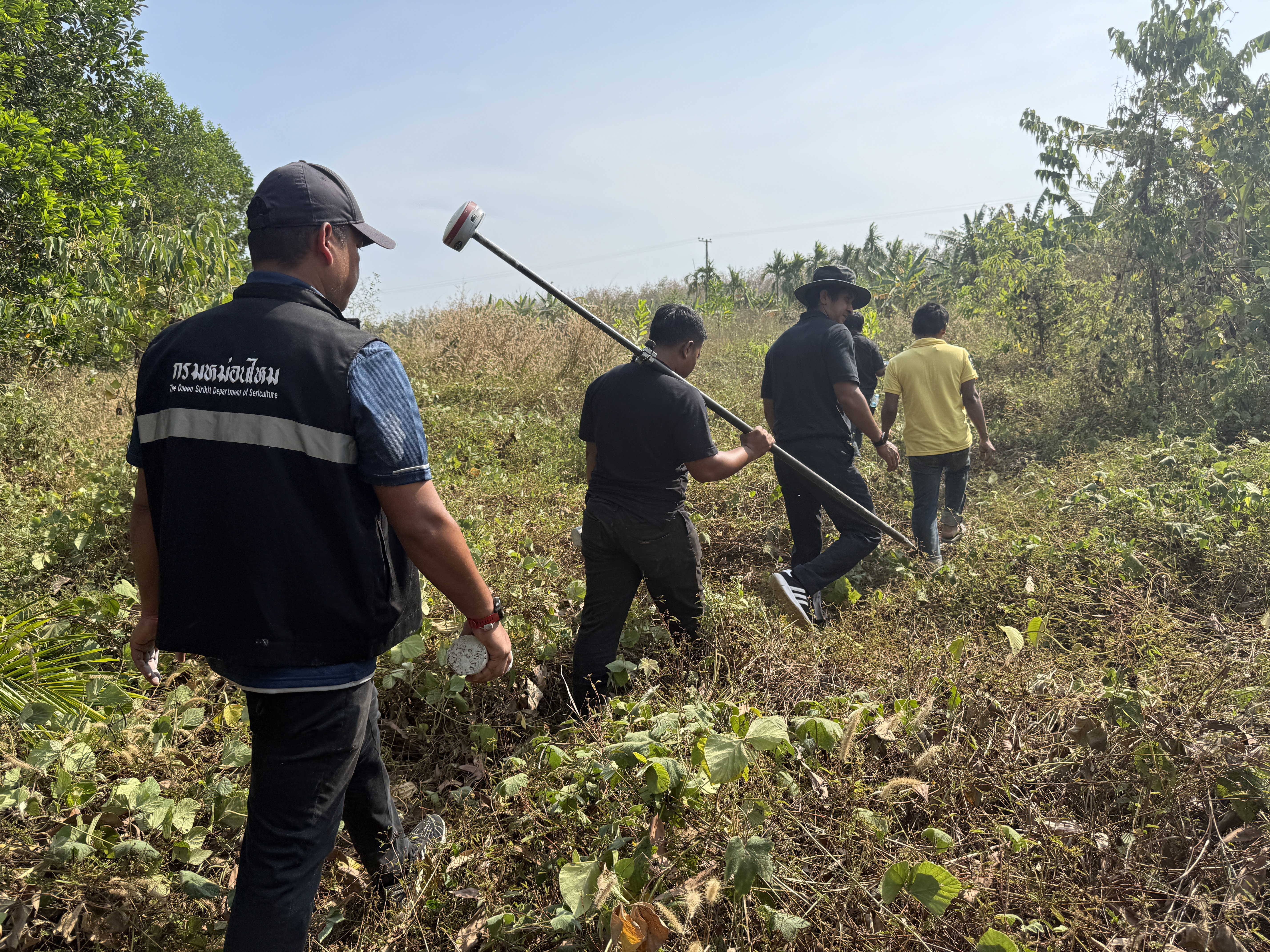 title - วันจันทร์ที่ 19 มกราคม 2569 นายนิกร ไพริน ปฏิรูปที่ดินจังหวัดชุมพร มอบหมายให้ นายพิษณุ บุญแนบ ผู้อำนวยการกลุ่มงานช่างและแผนที่ พร้อมด้วย เจ้าหน้าที่ ส.ป.ก.ชุมพร ลงพื้นดำเนินการรังวัดที่ดิน 